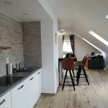 T20 Apartman 1-2 * Koszeg